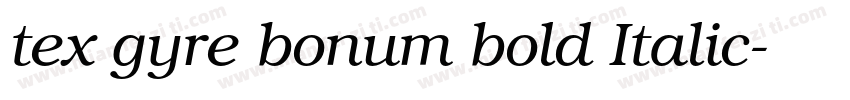 tex gyre bonum bold Italic字体转换